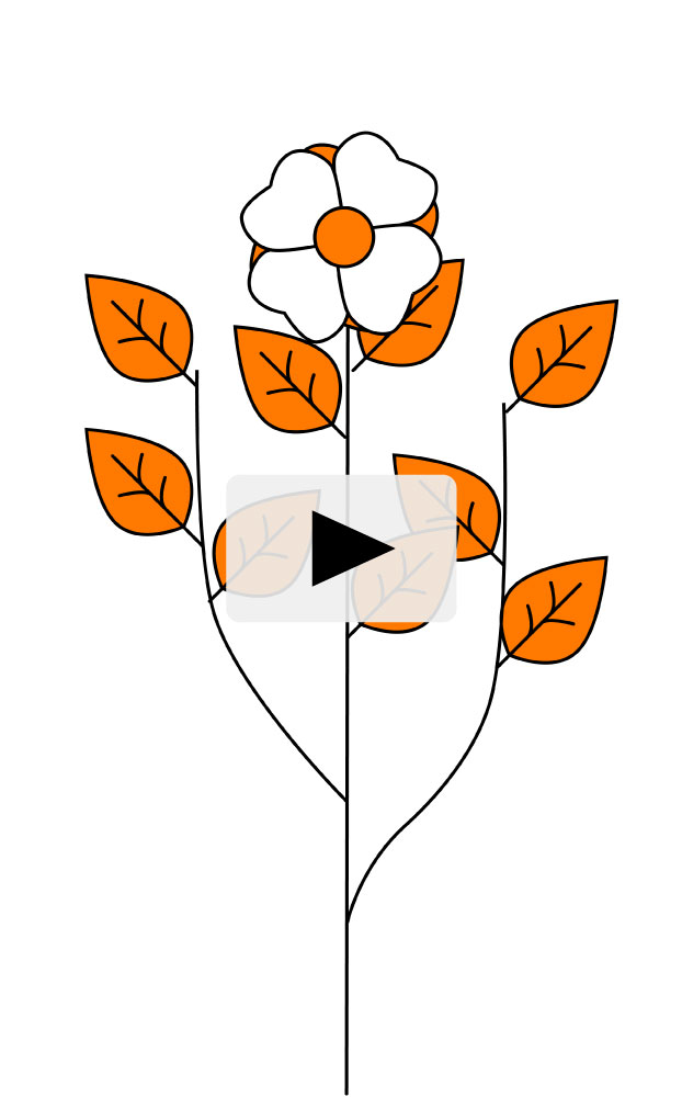 Illustration d'une fleur sur fond blanc