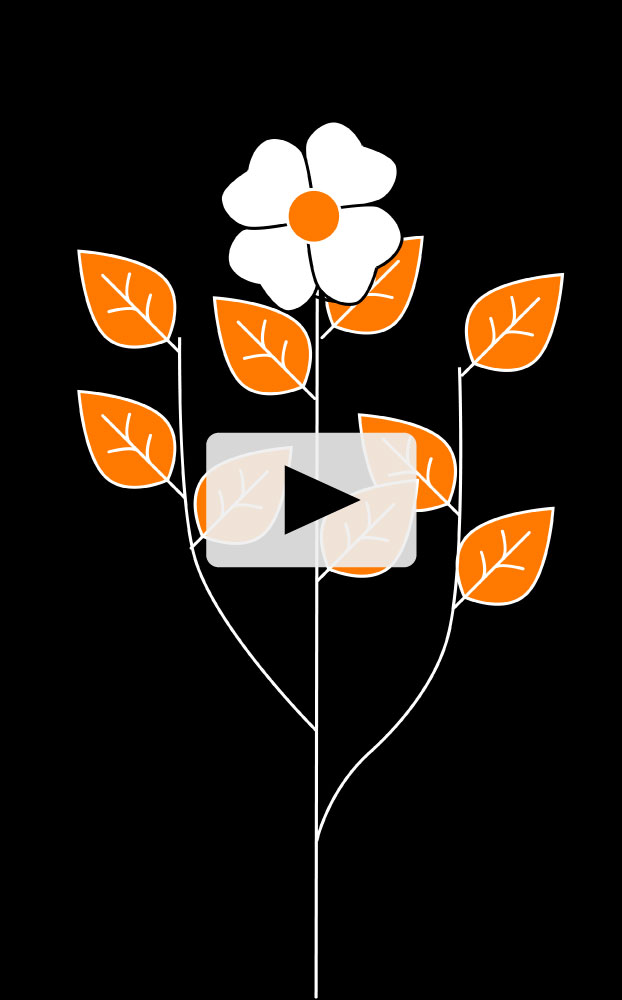 Illustration d'une fleur sur fond noir