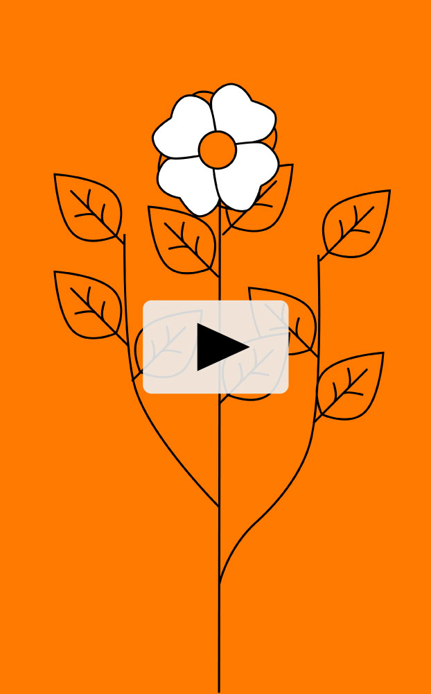 Illustration d'une fleur sur fond orange
