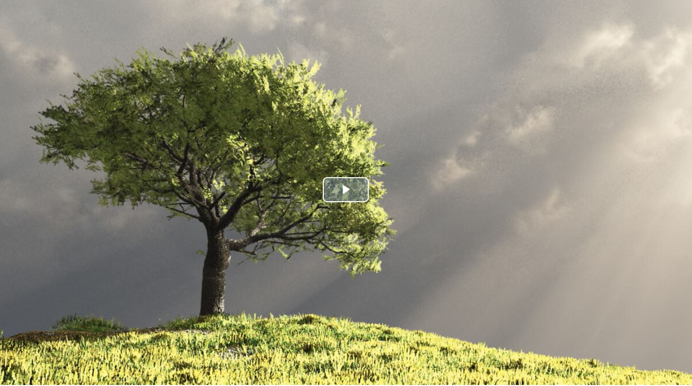 façade vidéo, picto play