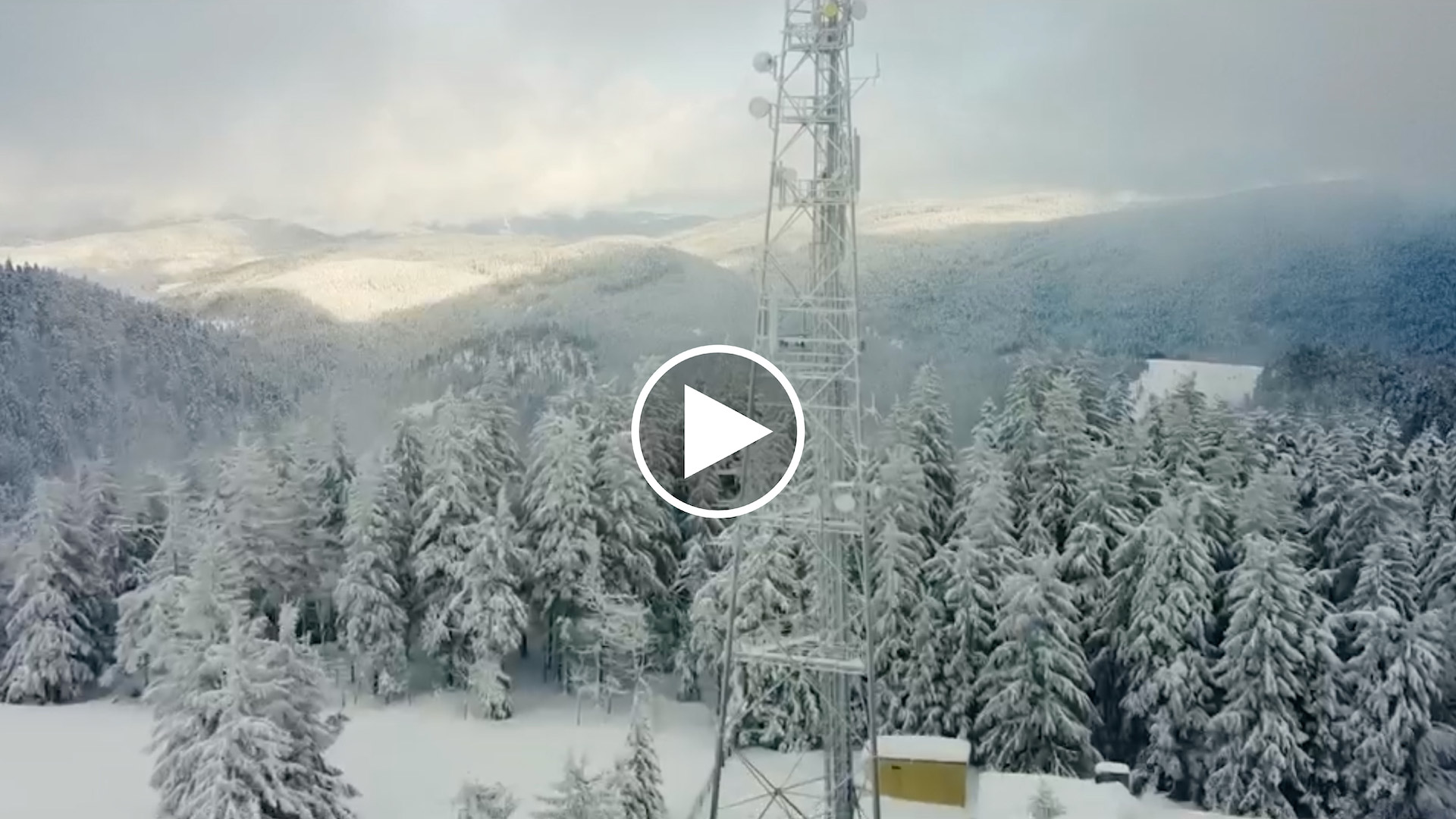 Photo vidéo Wholesale