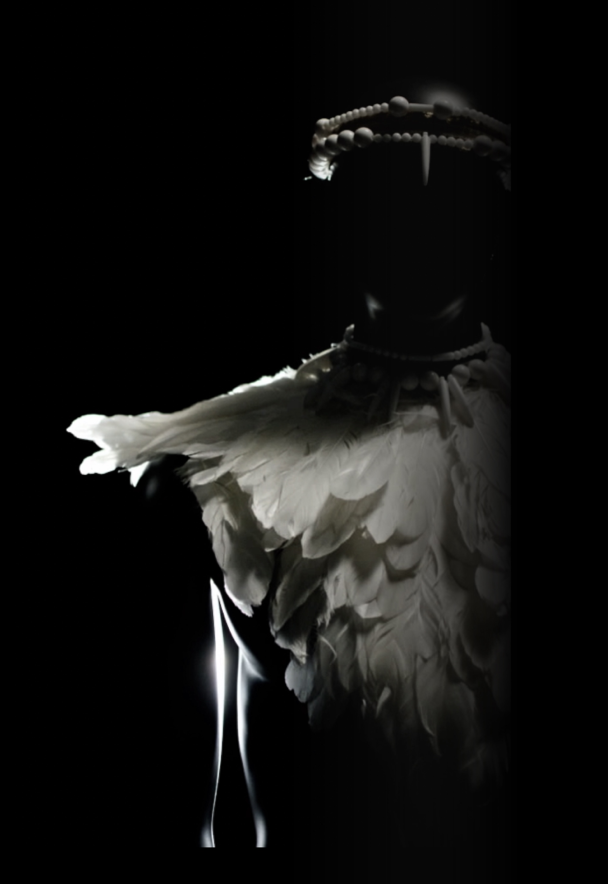 Illustration silhouette