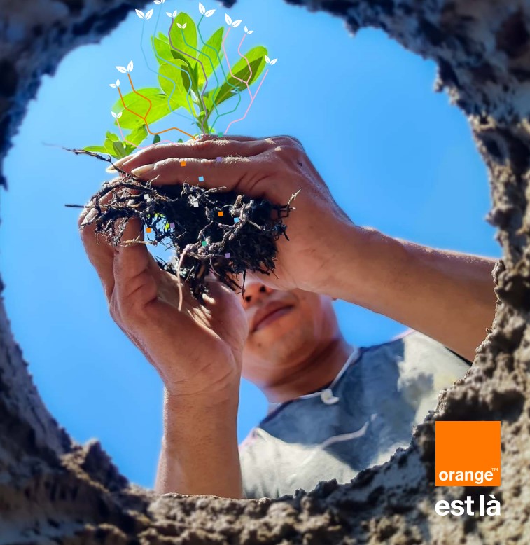 vue en contre-plongée de 2 mains qui tiennent un petit arbuste et ses racines 