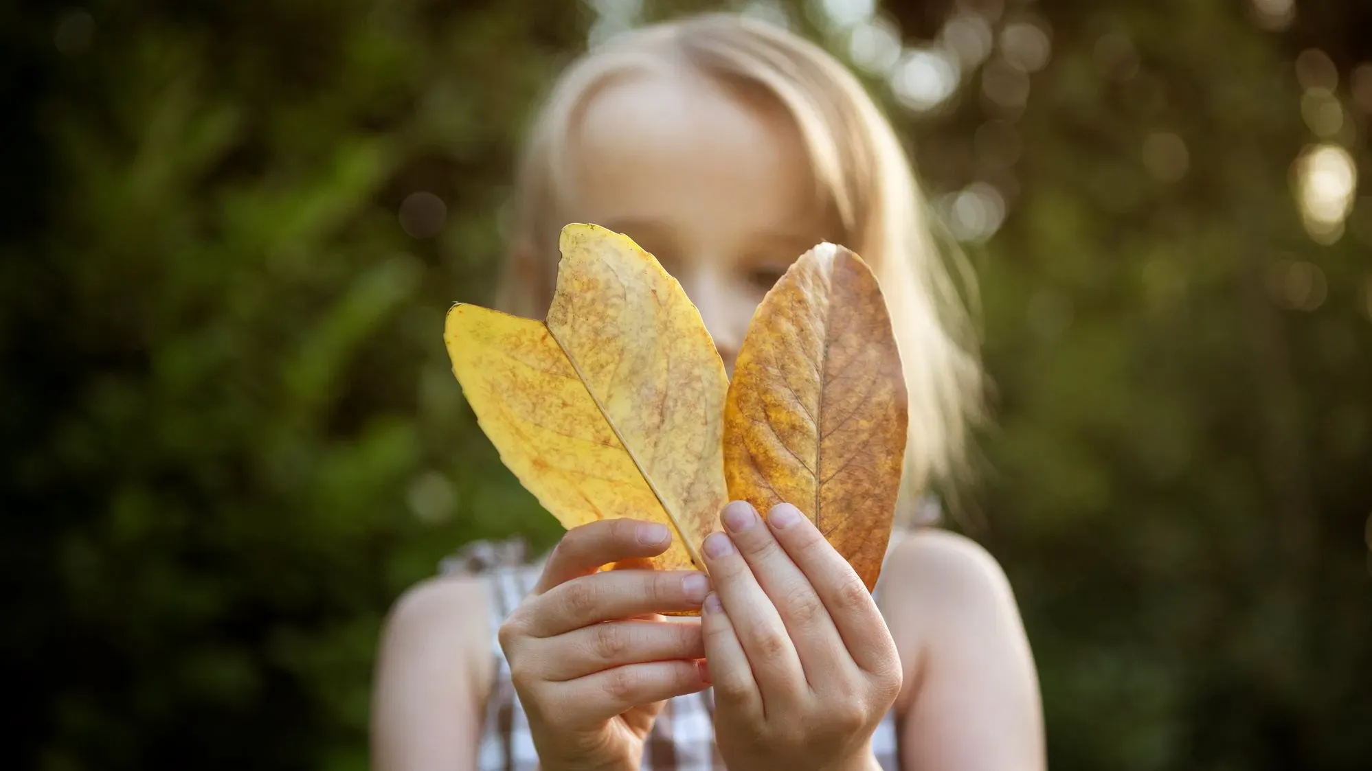 Une enfant contemple des feuilles jaunies