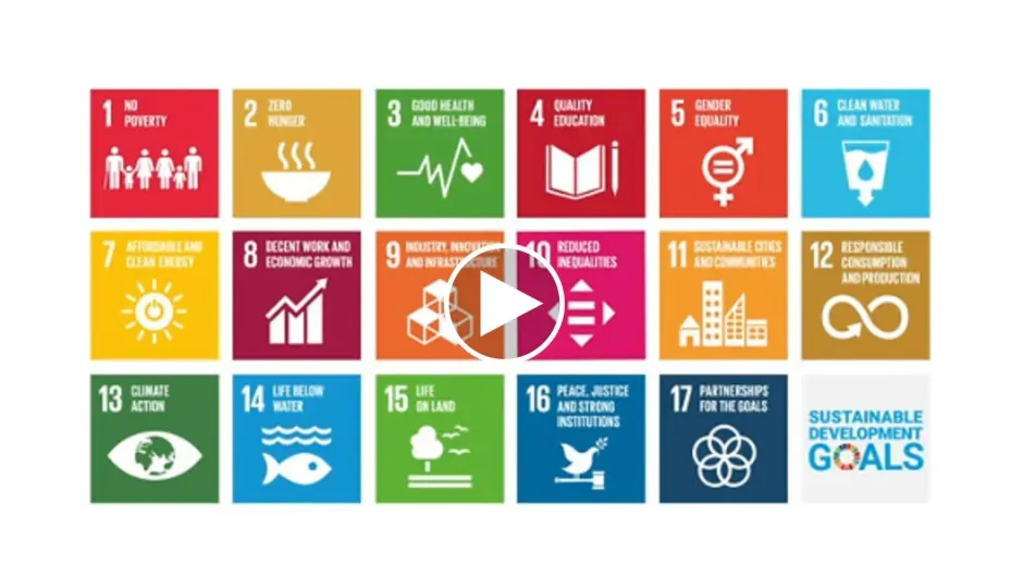 Orange commitments to achieving the Sustainable Development goals