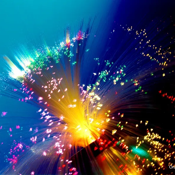 Photo d'une fibre