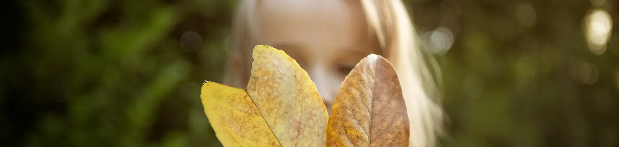 Une enfant contemple des feuilles jaunies