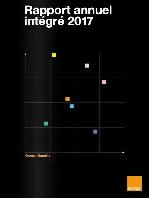 Rapport annuel intégré 2017