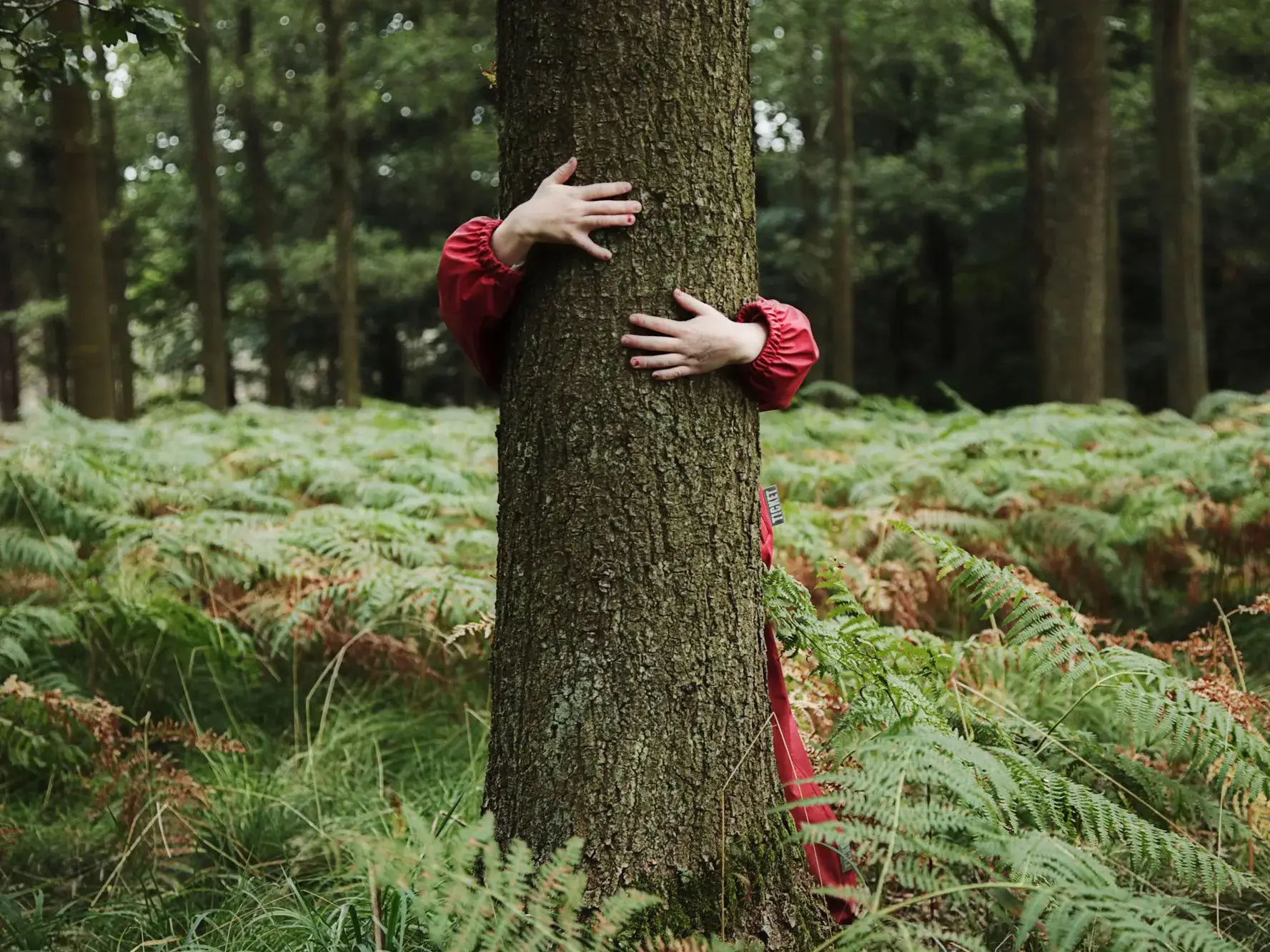 Une jeune femme enlace un tronc d'arbre de ses bras